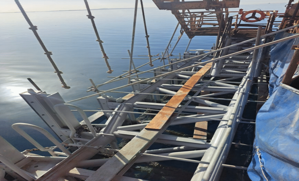 Slider 1 5 scaled 1000x605