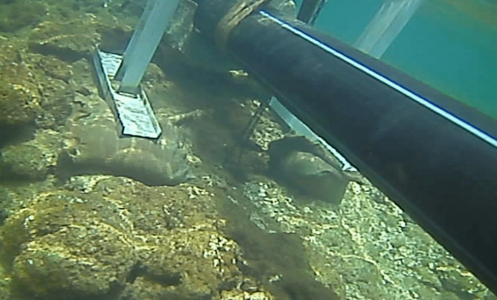 Slider 2 3 scaled 1000x605