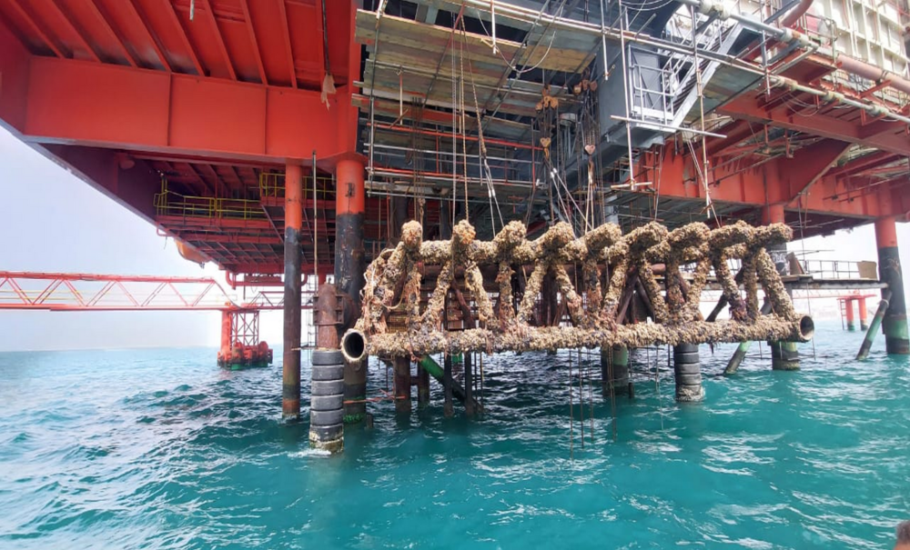 Slider 3 1 scaled 1000x605