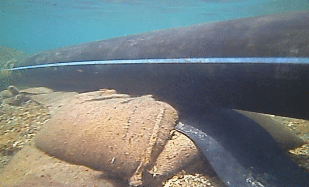 Slider 3 3 scaled 1000x605